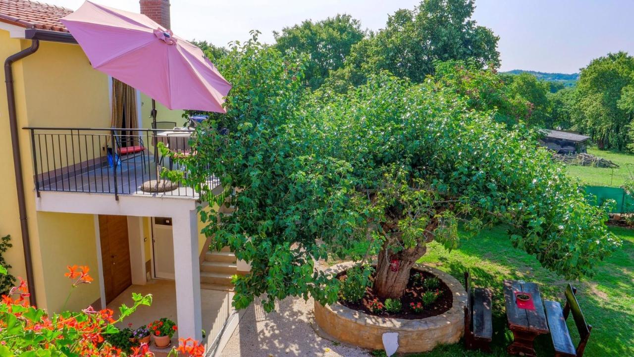 Studio Apartment Gianni Vizinada Ngoại thất bức ảnh